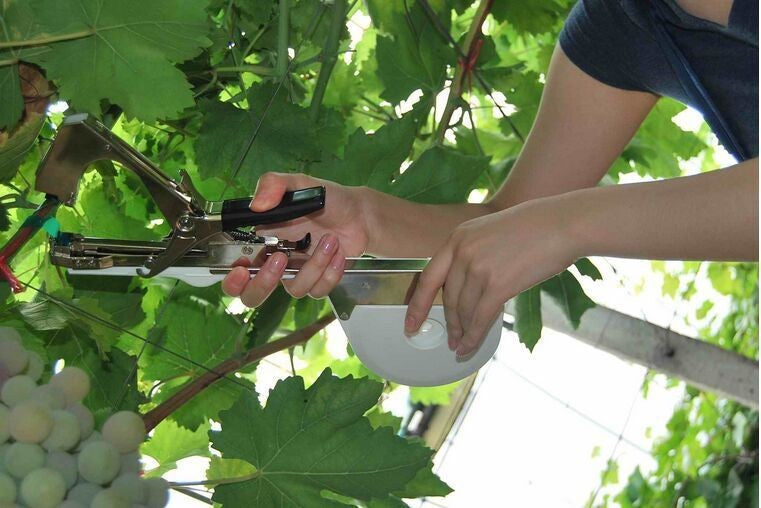 Aparat Profesional pentru Legat Vita de Vie si Legume – Clește Automat pentru Fixare Rapida si Sigura