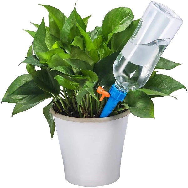 Set 24 Picuratoare pentru Ghivece – Sistem Automat de Udare cu Picurare pentru Plante in Interior si Exterior