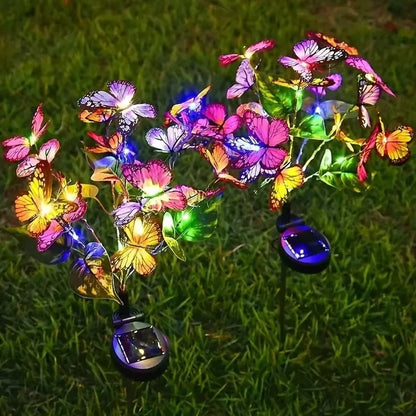 3706-19832.jpg