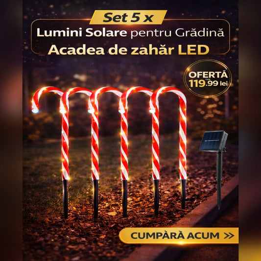 Set 5 x Decoratiune Luminoasa Exterior Tip Baston Acadea– Instalatie LED pentru Gradina
